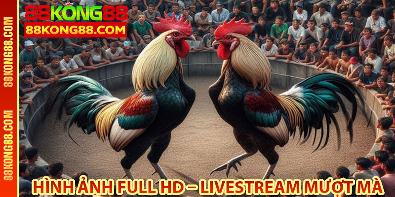 Hình ảnh Full HD – Livestream mượt mà, không giật lag